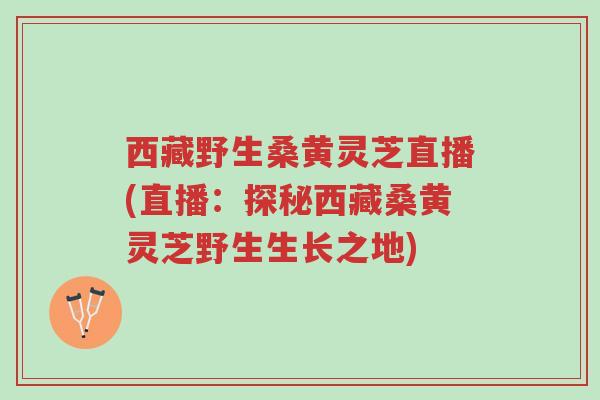 西藏野生桑黄灵芝直播(直播:探秘西藏桑黄灵芝野生生长之地)-第1张图片-超越 西藏野生桑黄灵芝直播(直播:探秘西藏桑黄灵芝野生生长之地)-第1张图片-超越