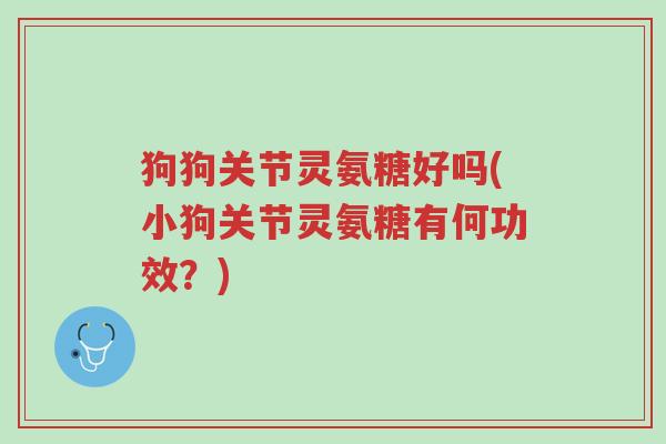 狗狗关节灵氨糖好吗(小狗关节灵氨糖有何功效?)-第1张图片-超越 狗狗关节灵氨糖好吗(小狗关节灵氨糖有何功效?)-第1张图片-超越