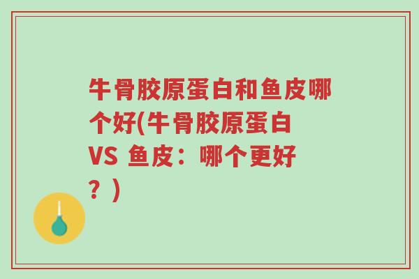 牛骨胶原蛋白和鱼皮哪个好(牛骨胶原蛋白 VS 鱼皮:哪个更好?)-第1张图片-超越 牛骨胶原蛋白和鱼皮哪个好(牛骨胶原蛋白 VS 鱼皮:哪个更好?)-第1张图片-超越