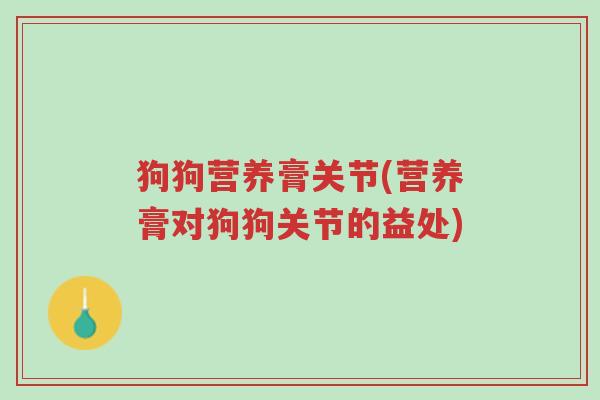 狗狗营养膏关节(营养膏对狗狗关节的益处)-第1张图片-超越 狗狗营养膏关节(营养膏对狗狗关节的益处)-第1张图片-超越