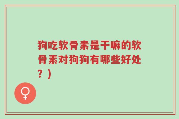 狗吃软骨素是干嘛的软骨素对狗狗有哪些好处？)-第1张图片-超越