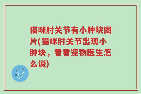 猫咪肘关节有小肿块图片(猫咪肘关节出现小肿块,看看宠物医生怎么说)-第1张图片-超越 猫咪肘关节有小肿块图片(猫咪肘关节出现小肿块,看看宠物医生怎么说)-第1张图片-超越
