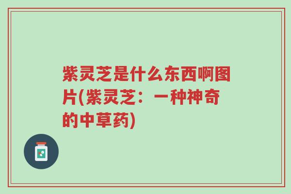 紫灵芝是什么东西啊图片(紫灵芝:一种神奇的中草药)-第1张图片-超越 紫灵芝是什么东西啊图片(紫灵芝:一种神奇的中草药)-第1张图片-超越