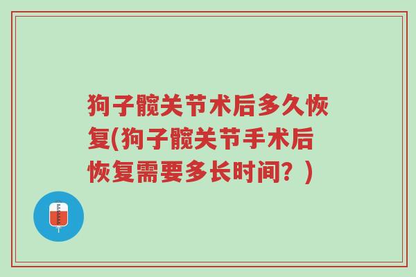 狗子髋关节术后多久恢复(狗子髋关节手术后恢复需要多长时间?)-第1张图片-超越 狗子髋关节术后多久恢复(狗子髋关节手术后恢复需要多长时间?)-第1张图片-超越