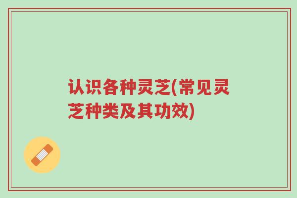 认识各种灵芝(常见灵芝种类及其功效)-第1张图片-超越 认识各种灵芝(常见灵芝种类及其功效)-第1张图片-超越