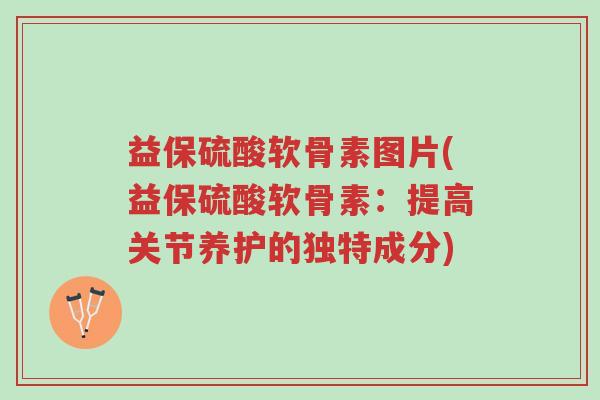 益保硫酸软骨素图片(益保硫酸软骨素:提高关节养护的独特成分)-第1张图片-超越 益保硫酸软骨素图片(益保硫酸软骨素:提高关节养护的独特成分)-第1张图片-超越