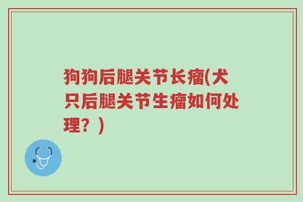 狗狗后腿关节长瘤(犬只后腿关节生瘤如何处理?)-第1张图片-超越 狗狗后腿关节长瘤(犬只后腿关节生瘤如何处理?)-第1张图片-超越
