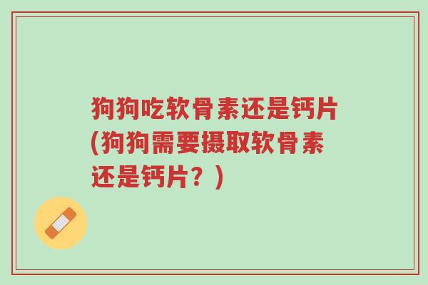 狗狗吃软骨素还是钙片(狗狗需要摄取软骨素还是钙片?)-第1张图片-超越 狗狗吃软骨素还是钙片(狗狗需要摄取软骨素还是钙片?)-第1张图片-超越