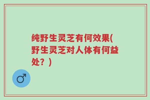 纯野生灵芝有何效果(野生灵芝对人体有何益处?)-第1张图片-超越 纯野生灵芝有何效果(野生灵芝对人体有何益处?)-第1张图片-超越