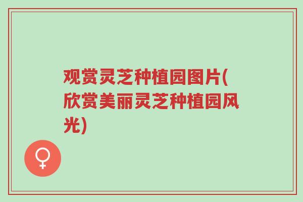 观赏灵芝种植园图片(欣赏美丽灵芝种植园风光)-第1张图片-超越