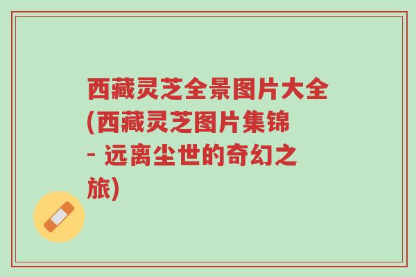 西藏灵芝全景图片大全(西藏灵芝图片集锦 - 远离尘世的奇幻之旅)-第1张图片-超越