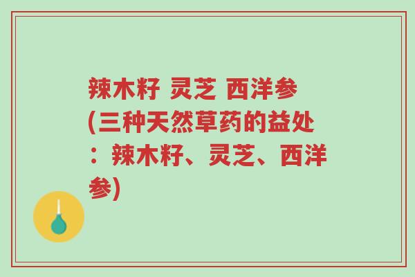 辣木籽 灵芝 西洋参(三种天然草药的益处:辣木籽、灵芝、西洋参)-第1张图片-超越 辣木籽 灵芝 西洋参(三种天然草药的益处:辣木籽、灵芝、西洋参)-第1张图片-超越