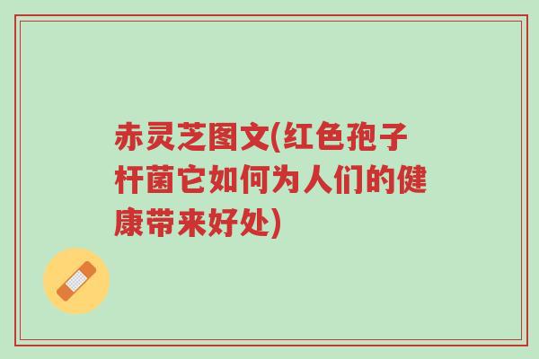 赤灵芝图文(红色孢子杆菌它如何为人们的健康带来好处)-第1张图片-超越 赤灵芝图文(红色孢子杆菌它如何为人们的健康带来好处)-第1张图片-超越
