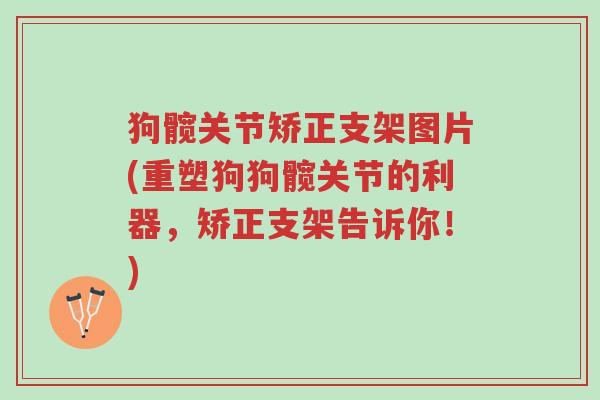 狗髋关节矫正支架图片(重塑狗狗髋关节的利器,矫正支架告诉你!)-第1张图片-超越 狗髋关节矫正支架图片(重塑狗狗髋关节的利器,矫正支架告诉你!)-第1张图片-超越