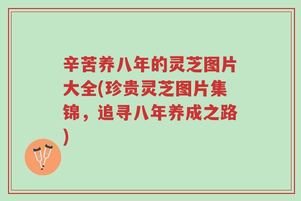辛苦养八年的灵芝图片大全(珍贵灵芝图片集锦,追寻八年养成之路)-第1张图片-超越 辛苦养八年的灵芝图片大全(珍贵灵芝图片集锦,追寻八年养成之路)-第1张图片-超越