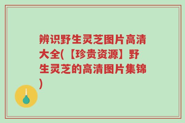 辨识野生灵芝图片高清大全(【珍贵资源】野生灵芝的高清图片集锦)-第1张图片-超越