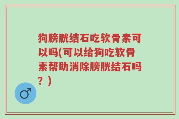 狗膀胱结石吃软骨素可以吗(可以给狗吃软骨素帮助消除膀胱结石吗?)-第1张图片-超越 狗膀胱结石吃软骨素可以吗(可以给狗吃软骨素帮助消除膀胱结石吗?)-第1张图片-超越