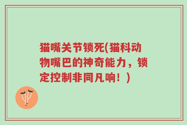 猫嘴关节锁死(猫科动物嘴巴的神奇能力,锁定控制非同凡响!)-第1张图片-超越 猫嘴关节锁死(猫科动物嘴巴的神奇能力,锁定控制非同凡响!)-第1张图片-超越