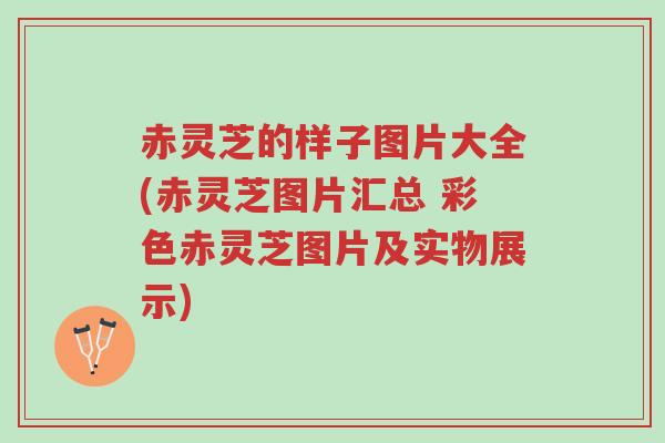 赤灵芝的样子图片大全(赤灵芝图片汇总 彩色赤灵芝图片及实物展示)-第1张图片-超越 赤灵芝的样子图片大全(赤灵芝图片汇总 彩色赤灵芝图片及实物展示)-第1张图片-超越