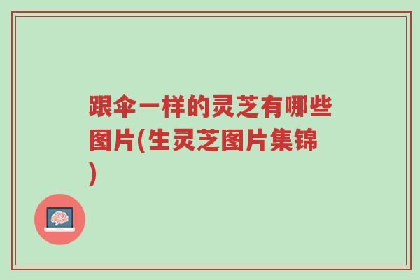跟伞一样的灵芝有哪些图片(生灵芝图片集锦)-第1张图片-超越 跟伞一样的灵芝有哪些图片(生灵芝图片集锦)-第1张图片-超越