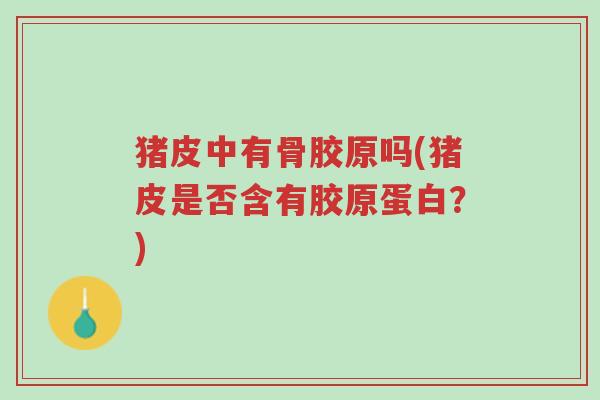 猪皮中有骨胶原吗(猪皮是否含有胶原蛋白?)-第1张图片-超越 猪皮中有骨胶原吗(猪皮是否含有胶原蛋白?)-第1张图片-超越