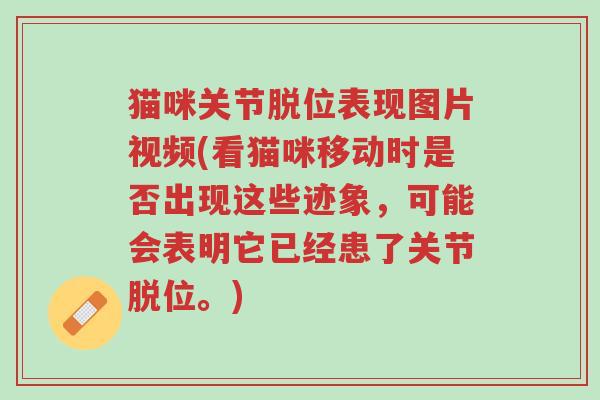 猫咪关节脱位表现图片视频(看猫咪移动时是否出现这些迹象,可能会表明它已经患了关节脱位。)-第1张图片-超越 猫咪关节脱位表现图片视频(看猫咪移动时是否出现这些迹象,可能会表明它已经患了关节脱位。)-第1张图片-超越