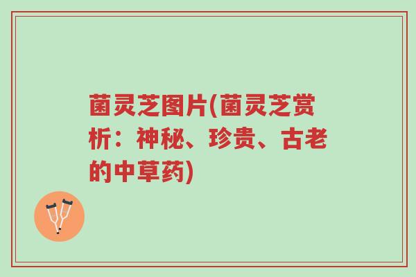 菌灵芝图片(菌灵芝赏析:神秘、珍贵、古老的中草药)-第1张图片-超越 菌灵芝图片(菌灵芝赏析:神秘、珍贵、古老的中草药)-第1张图片-超越