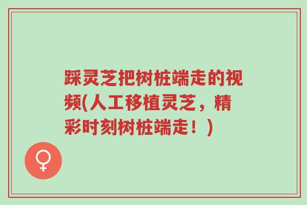 踩灵芝把树桩端走的视频(人工移植灵芝,精彩时刻树桩端走!)-第1张图片-超越 踩灵芝把树桩端走的视频(人工移植灵芝,精彩时刻树桩端走!)-第1张图片-超越