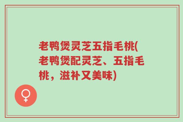 老鸭煲灵芝五指毛桃(老鸭煲配灵芝、五指毛桃，滋补又美味)-第1张图片-超越