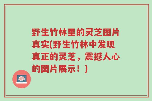 野生竹林里的灵芝图片真实(野生竹林中发现真正的灵芝,震撼人心的图片展示!)-第1张图片-超越 野生竹林里的灵芝图片真实(野生竹林中发现真正的灵芝,震撼人心的图片展示!)-第1张图片-超越
