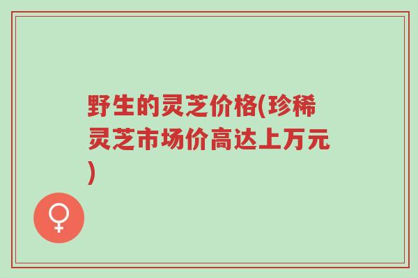 野生的灵芝价格(珍稀灵芝市场价高达上万元)-第1张图片-超越 野生的灵芝价格(珍稀灵芝市场价高达上万元)-第1张图片-超越