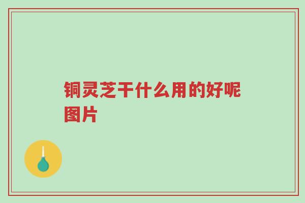 铜灵芝干什么用的好呢图片-第1张图片-超越 铜灵芝干什么用的好呢图片-第1张图片-超越