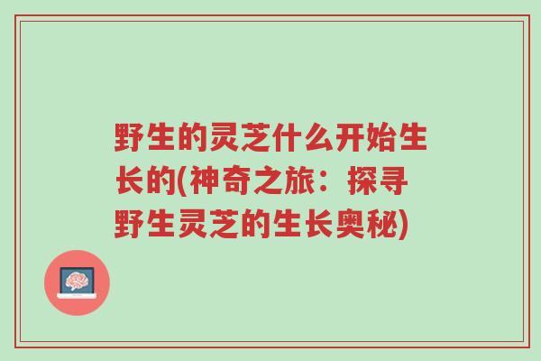 野生的灵芝什么开始生长的(神奇之旅:探寻野生灵芝的生长奥秘)-第1张图片-超越 野生的灵芝什么开始生长的(神奇之旅:探寻野生灵芝的生长奥秘)-第1张图片-超越