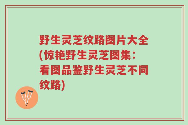野生灵芝纹路图片大全(惊艳野生灵芝图集:看图品鉴野生灵芝不同纹路)-第1张图片-超越 野生灵芝纹路图片大全(惊艳野生灵芝图集:看图品鉴野生灵芝不同纹路)-第1张图片-超越