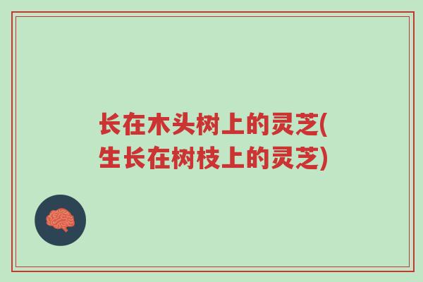 长在木头树上的灵芝(生长在树枝上的灵芝)-第1张图片-超越 长在木头树上的灵芝(生长在树枝上的灵芝)-第1张图片-超越