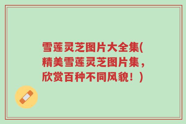 雪莲灵芝图片大全集(精美雪莲灵芝图片集，欣赏百种不同风貌！)-第1张图片-超越