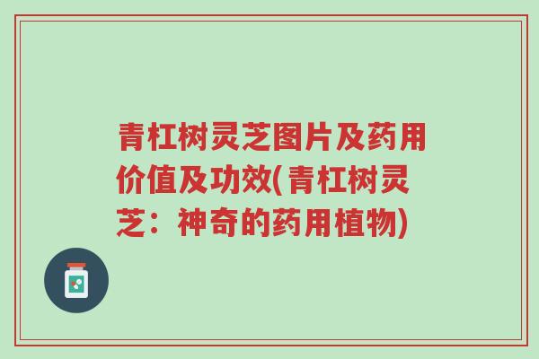 青杠树灵芝图片及药用价值及功效(青杠树灵芝:神奇的药用植物)-第1张图片-超越 青杠树灵芝图片及药用价值及功效(青杠树灵芝:神奇的药用植物)-第1张图片-超越
