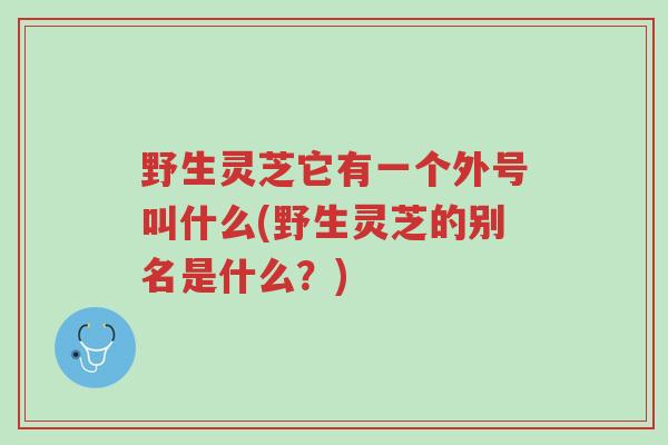 野生灵芝它有一个外号叫什么(野生灵芝的别名是什么?)-第1张图片-超越 野生灵芝它有一个外号叫什么(野生灵芝的别名是什么?)-第1张图片-超越