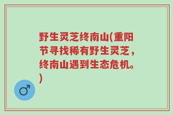 野生灵芝终南山(重阳节寻找稀有野生灵芝,终南山遇到生态危机。)-第1张图片-超越 野生灵芝终南山(重阳节寻找稀有野生灵芝,终南山遇到生态危机。)-第1张图片-超越
