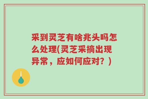 采到灵芝有啥兆头吗怎么处理(灵芝采摘出现异常,应如何应对?)-第1张图片-超越 采到灵芝有啥兆头吗怎么处理(灵芝采摘出现异常,应如何应对?)-第1张图片-超越