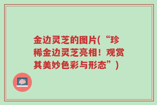 金边灵芝的图片(“珍稀金边灵芝亮相！观赏其美妙色彩与形态”)-第1张图片-超越