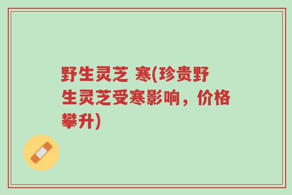 野生灵芝 寒(珍贵野生灵芝受寒影响,价格攀升)-第1张图片-超越 野生灵芝 寒(珍贵野生灵芝受寒影响,价格攀升)-第1张图片-超越