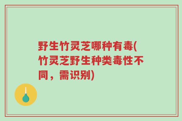 野生竹灵芝哪种有毒(竹灵芝野生种类毒性不同,需识别)-第1张图片-超越 野生竹灵芝哪种有毒(竹灵芝野生种类毒性不同,需识别)-第1张图片-超越