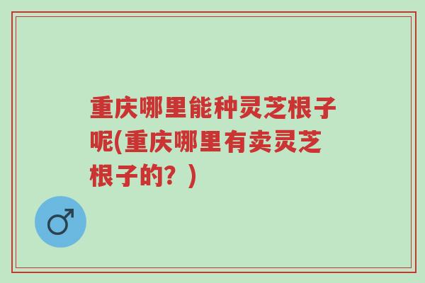 重庆哪里能种灵芝根子呢(重庆哪里有卖灵芝根子的?)-第1张图片-超越 重庆哪里能种灵芝根子呢(重庆哪里有卖灵芝根子的?)-第1张图片-超越