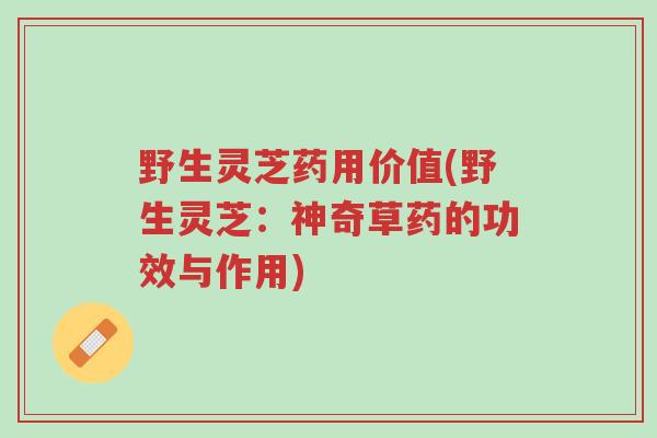 野生灵芝药用价值(野生灵芝:神奇草药的功效与作用)-第1张图片-超越 野生灵芝药用价值(野生灵芝:神奇草药的功效与作用)-第1张图片-超越
