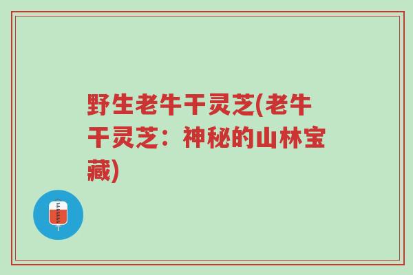 野生老牛干灵芝(老牛干灵芝:神秘的山林宝藏)-第1张图片-超越 野生老牛干灵芝(老牛干灵芝:神秘的山林宝藏)-第1张图片-超越