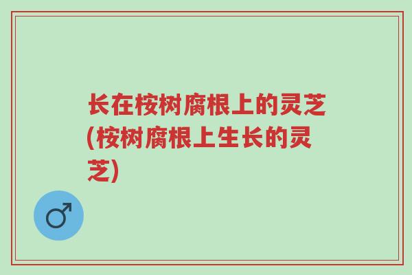 长在桉树腐根上的灵芝(桉树腐根上生长的灵芝)-第1张图片-超越 长在桉树腐根上的灵芝(桉树腐根上生长的灵芝)-第1张图片-超越