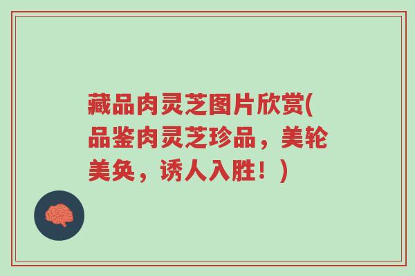 藏品肉灵芝图片欣赏(品鉴肉灵芝珍品,美轮美奂,诱人入胜!)-第1张图片-超越 藏品肉灵芝图片欣赏(品鉴肉灵芝珍品,美轮美奂,诱人入胜!)-第1张图片-超越