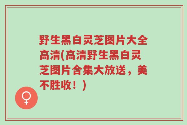 野生黑白灵芝图片大全高清(高清野生黑白灵芝图片合集大放送,美不胜收!)-第1张图片-超越 野生黑白灵芝图片大全高清(高清野生黑白灵芝图片合集大放送,美不胜收!)-第1张图片-超越