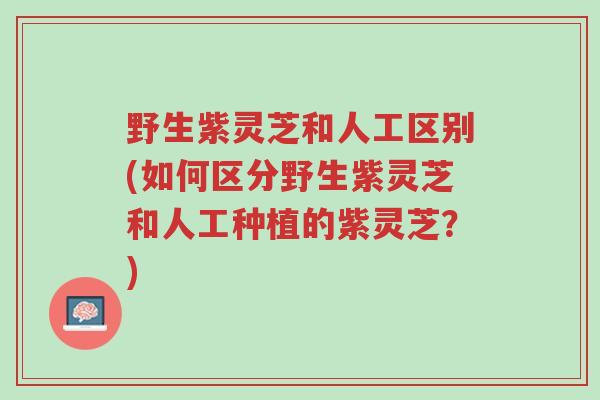 野生紫灵芝和人工区别(如何区分野生紫灵芝和人工种植的紫灵芝?)-第1张图片-超越 野生紫灵芝和人工区别(如何区分野生紫灵芝和人工种植的紫灵芝?)-第1张图片-超越